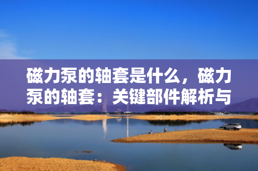 磁力泵的轴套是什么，磁力泵的轴套：关键部件解析与功能介绍