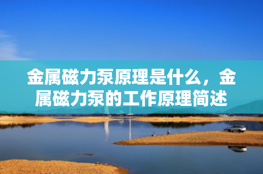 金属磁力泵原理是什么，金属磁力泵的工作原理简述