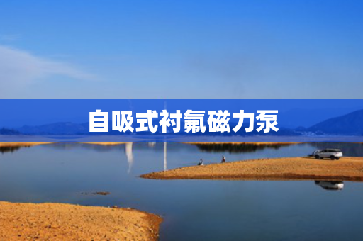 自吸式衬氟磁力泵