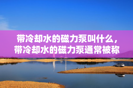 带冷却水的磁力泵叫什么，带冷却水的磁力泵通常被称为“冷却水式磁力泵”或“带冷却系统的磁力泵”。
