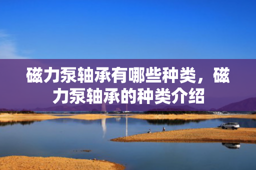 磁力泵轴承有哪些种类，磁力泵轴承的种类介绍