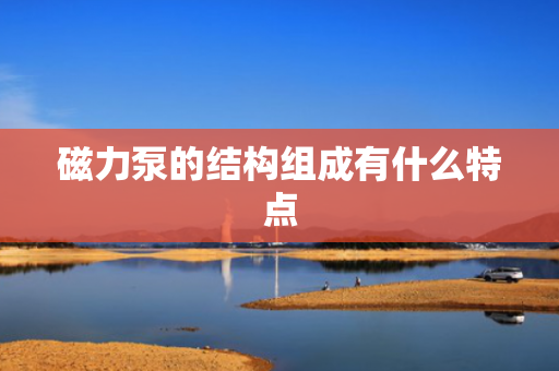 磁力泵的结构组成有什么特点