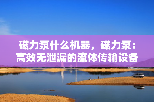 磁力泵什么机器，磁力泵：高效无泄漏的流体传输设备