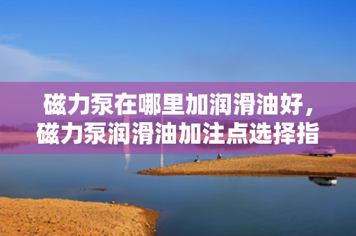 磁力泵在哪里加润滑油好，磁力泵润滑油加注点选择指南：确保性能与寿命的关键一步