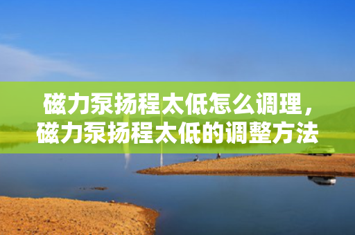 磁力泵扬程太低怎么调理，磁力泵扬程太低的调整方法