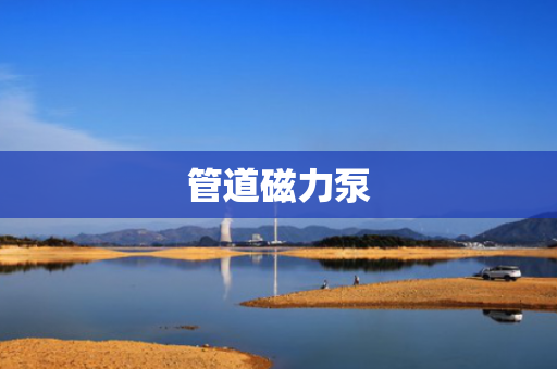 管道磁力泵