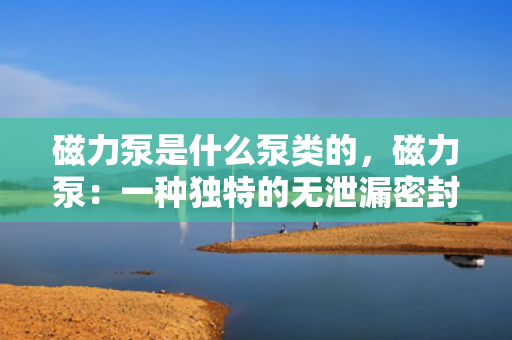磁力泵是什么泵类的，磁力泵：一种独特的无泄漏密封泵类