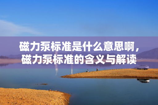 磁力泵标准是什么意思啊，磁力泵标准的含义与解读