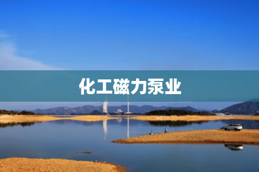 化工磁力泵业