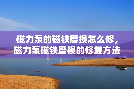 磁力泵的磁铁磨损怎么修，磁力泵磁铁磨损的修复方法