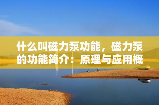 什么叫磁力泵功能，磁力泵的功能简介：原理与应用概述