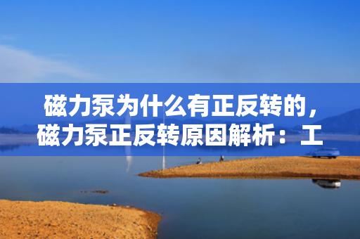 磁力泵为什么有正反转的，磁力泵正反转原因解析：工作机理与操作要求探讨
