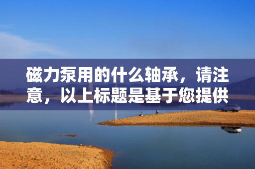 磁力泵用的什么轴承，请注意，以上标题是基于您提供的内容生成的，但具体磁力泵使用的轴承类型可能因不同的磁力泵型号和制造商而有所差异。为了获取最准确的信息，建议直接查阅相关磁力泵的制造商手册或联系制造商进行咨询。