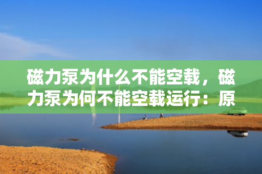 磁力泵为什么不能空载，磁力泵为何不能空载运行：原因分析与解释