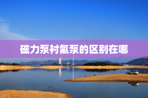 磁力泵衬氟泵的区别在哪
