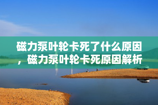 磁力泵叶轮卡死了什么原因，磁力泵叶轮卡死原因解析