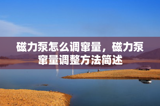 磁力泵怎么调窜量，磁力泵窜量调整方法简述