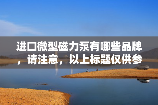 进囗微型磁力泵有哪些品牌，请注意，以上标题仅供参考，实际选择时请结合具体需求和产品特点进行综合考虑。同时，确保从正规渠道购买，以获得可靠的产品质量和售后服务。
