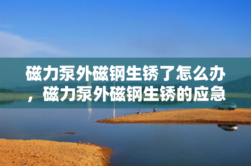 磁力泵外磁钢生锈了怎么办，磁力泵外磁钢生锈的应急处理与防锈措施