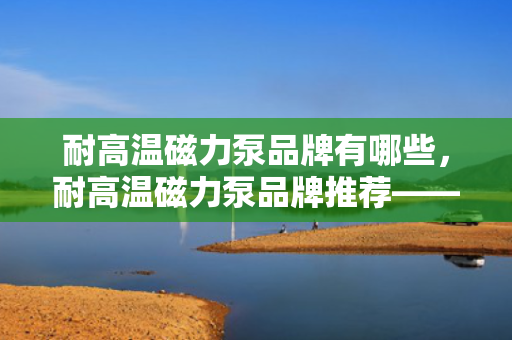 耐高温磁力泵品牌有哪些，耐高温磁力泵品牌推荐——行业优选，性能卓越