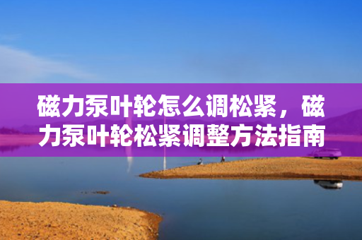 磁力泵叶轮怎么调松紧，磁力泵叶轮松紧调整方法指南