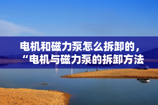 电机和磁力泵怎么拆卸的，“电机与磁力泵的拆卸方法指南”