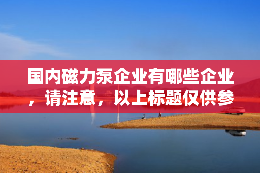 国内磁力泵企业有哪些企业，请注意，以上标题仅供参考，实际使用时可以根据文章内容和风格进行调整。同时，该标题对应的文章内容应包含国内磁力泵行业的主要企业介绍，例如可以列举并简要介绍几家具有代表性的磁力泵企业。