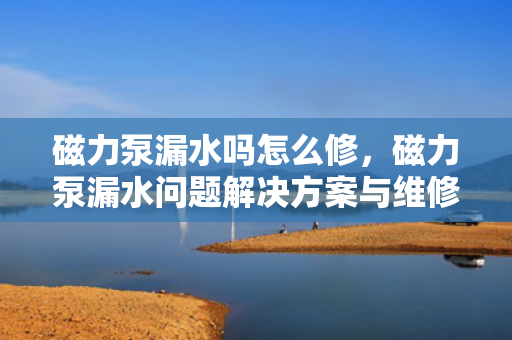 磁力泵漏水吗怎么修，磁力泵漏水问题解决方案与维修指南