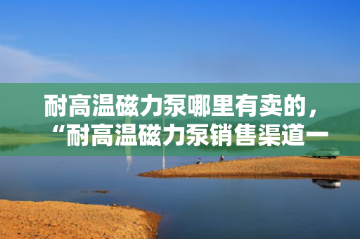 耐高温磁力泵哪里有卖的，“耐高温磁力泵销售渠道一览：专业供应商助您轻松购买”