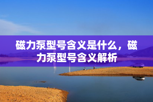 磁力泵型号含义是什么，磁力泵型号含义解析