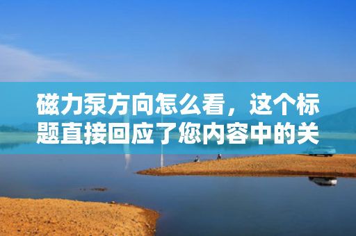 磁力泵方向怎么看，这个标题直接回应了您内容中的关键信息，即关于磁力泵方向的判断方法，同时采用了简洁明了的语言风格，方便读者快速理解和记忆。