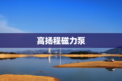 高扬程磁力泵
