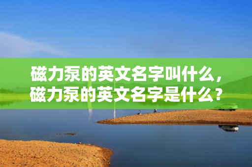 磁力泵的英文名字叫什么，磁力泵的英文名字是什么？专业术语一览