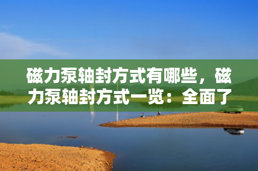 磁力泵轴封方式有哪些，磁力泵轴封方式一览：全面了解不同种类的密封方法