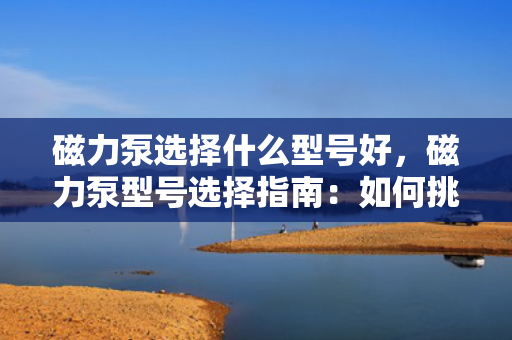 磁力泵选择什么型号好，磁力泵型号选择指南：如何挑选最适合的磁力泵型号