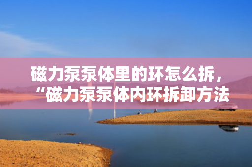 磁力泵泵体里的环怎么拆，“磁力泵泵体内环拆卸方法详解”