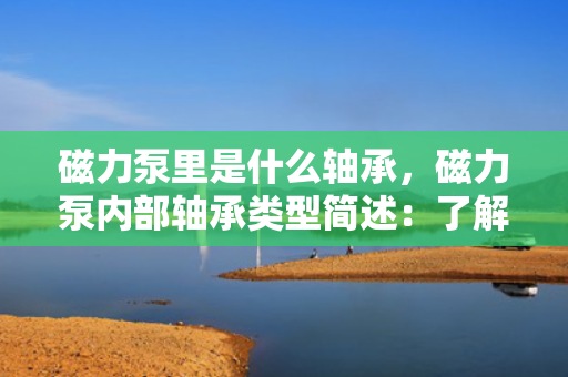 磁力泵里是什么轴承，磁力泵内部轴承类型简述：了解磁力泵的轴承构造