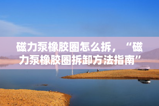 磁力泵橡胶圈怎么拆，“磁力泵橡胶圈拆卸方法指南”
