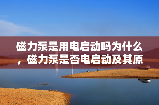 磁力泵是用电启动吗为什么，磁力泵是否电启动及其原因解析