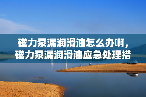 磁力泵漏润滑油怎么办啊，磁力泵漏润滑油应急处理措施与解决方案