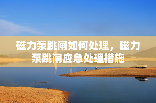 磁力泵跳闸如何处理，磁力泵跳闸应急处理措施