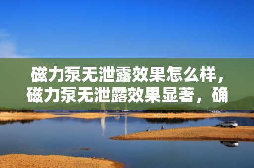 磁力泵无泄露效果怎么样，磁力泵无泄露效果显著，确保流体传输安全可靠
