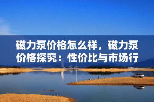磁力泵价格怎么样，磁力泵价格探究：性价比与市场行情一览