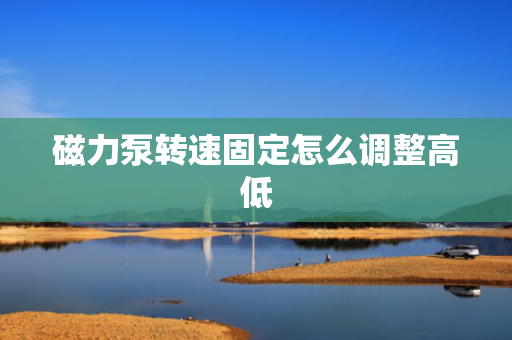 磁力泵转速固定怎么调整高低