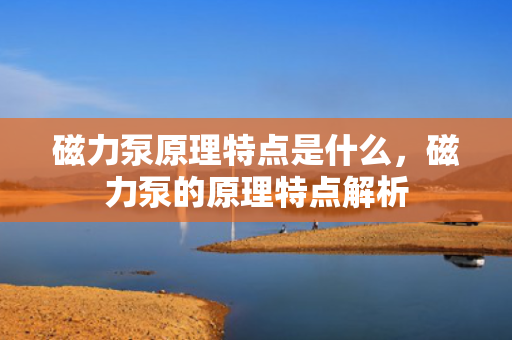 磁力泵原理特点是什么，磁力泵的原理特点解析