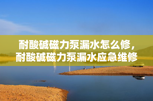 耐酸碱磁力泵漏水怎么修，耐酸碱磁力泵漏水应急维修方法