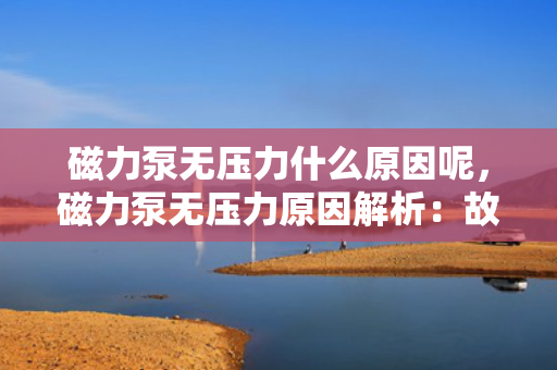 磁力泵无压力什么原因呢，磁力泵无压力原因解析：故障排查与解决方案