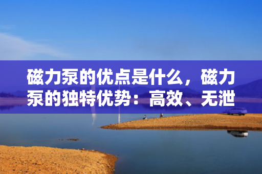 磁力泵的优点是什么，磁力泵的独特优势：高效、无泄漏与长寿命的完美结合