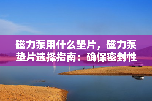 磁力泵用什么垫片，磁力泵垫片选择指南：确保密封性能与泵效的关键
