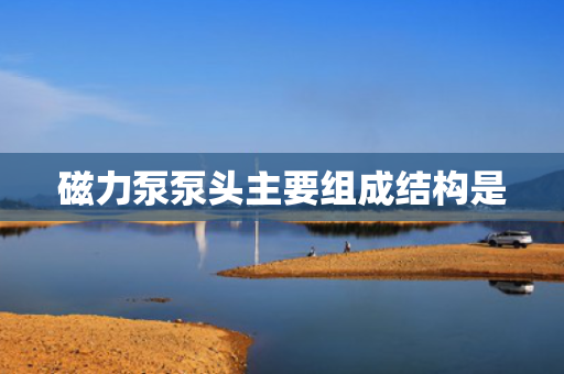 磁力泵泵头主要组成结构是